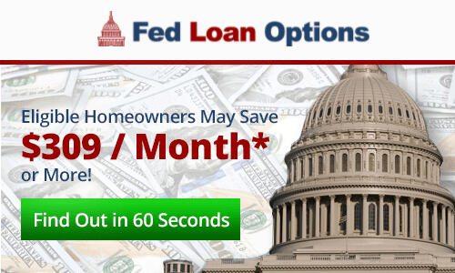 Fed Loan Options