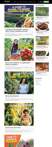 Article Menu